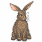 Sticker Lapin 3 (Devant)