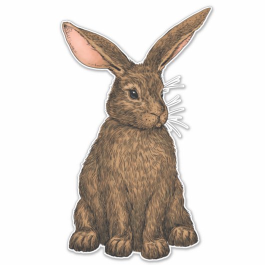 Sticker Lapin 3 (Devant)
