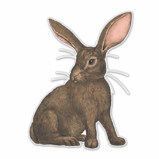 Sticker Lapin 4 (Devant)