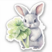 Sticker Lapin avec chou (Devant)