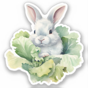 Sticker Lapin avec chou