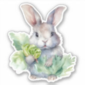 Sticker Lapin avec chou (Devant)