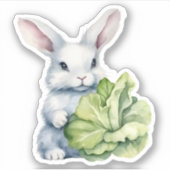 Sticker Lapin avec chou (Devant)