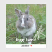 Sticker Lapin lapin (Feuille)