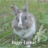 Sticker Lapin lapin (Devant)