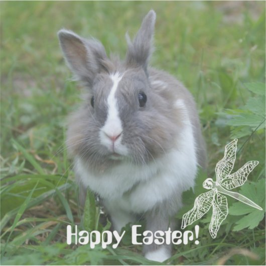 Sticker Lapin lapin (Devant)