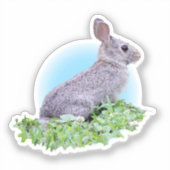 Sticker Lapin mignon (Recto)