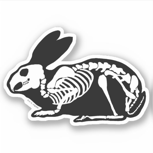 Sticker Lapin squelette (Devant)