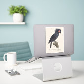 Sticker L'Ara Noir à Trompe / Cacatoès à Palme  (Ordinateur portable sur le bureau)