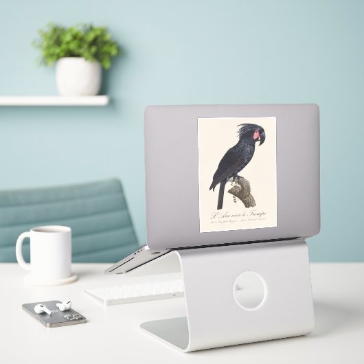 Sticker L'Ara Noir a Trompe / Palm Cockatoo (Ordinateur portable sur le bureau)