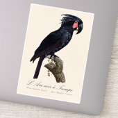 Sticker L'Ara Noir a Trompe / Palm Cockatoo