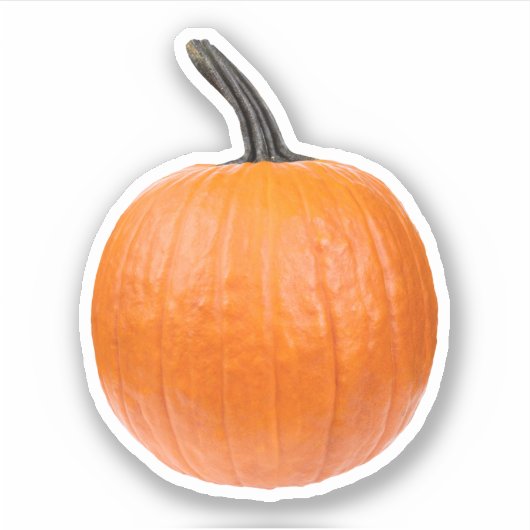 Sticker Large Pumkin (Devant)