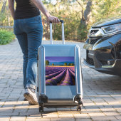 Sticker Lavande Nature Extérieur Paysage Calme Tranquille (Valise Insitu)