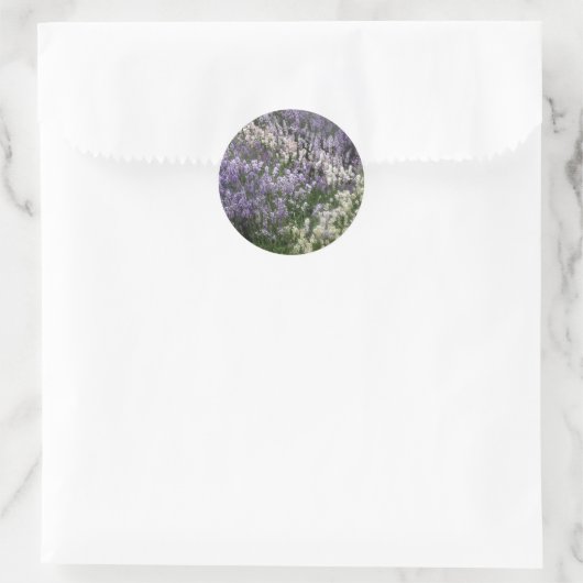 Sticker Lavender Fields (Sac)