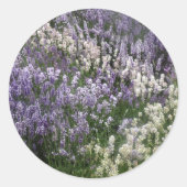 Sticker Lavender Fields (Devant)
