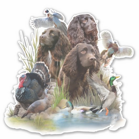 Sticker Le Boykin Spaniel (Devant)