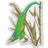 Sticker Le caméléon de Jackson traînant dans le bambou (Devant)