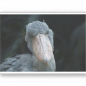 Sticker Le charme de la chaussure (Recto)