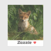 Sticker Le chou renard dans une forêt verte (Feuille)