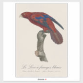Sticker Le Lori a franges bleues (Feuille)