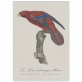 Sticker Le Lori a franges bleues (Devant)