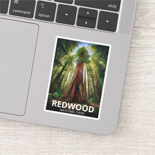 Sticker Le parc national de Redwood, Californie côtière (Détail)