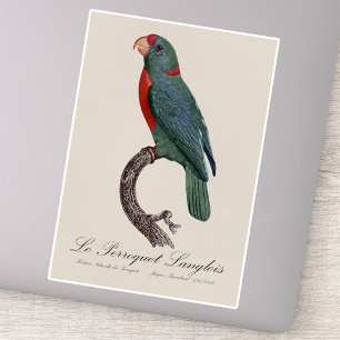 Sticker Le Perroquet Langlois de Jacques Barraband