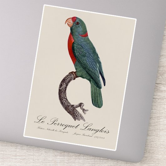 Sticker Le Perroquet Langlois de Jacques Barraband