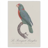 Sticker Le Perroquet Langlois de Jacques Barraband (Devant)