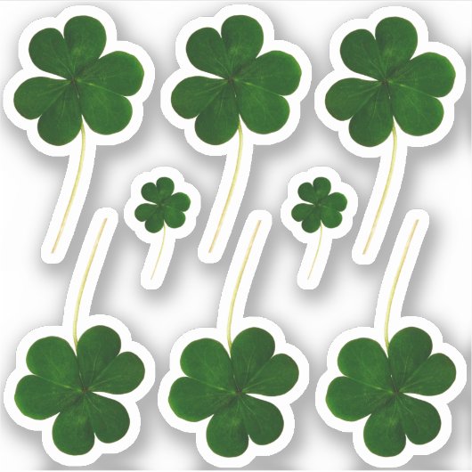Sticker Le Shamrock irlandais Green Clovers St. Patrick's (Devant)