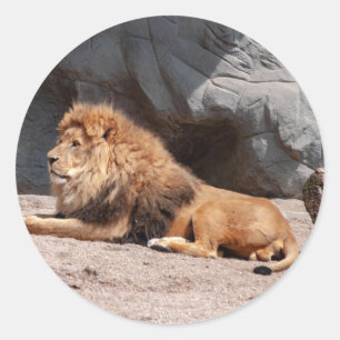 Sticker leeuw
