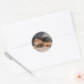 Sticker leeuw (Envelop)
