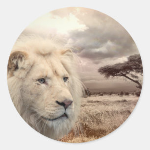 Sticker leeuw