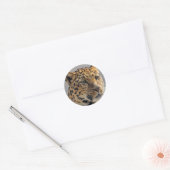 Sticker Leopard (Enveloppe)