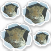 Sticker Leopard (Recto)