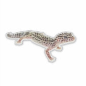 Sticker Leopard Gecko (Devant)