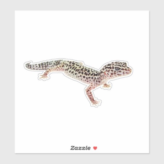 Sticker Leopard Gecko (Feuille)