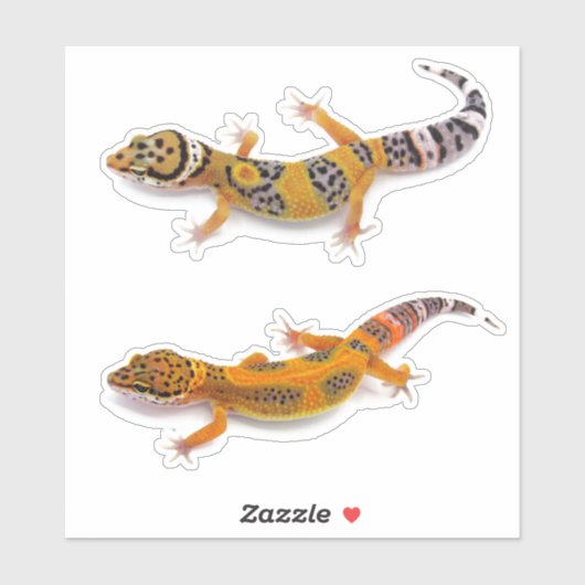 Sticker Leopard Gecko Lizard (Feuille)