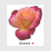 Sticker Les gouttes de pluie sur le Rose (Feuille)