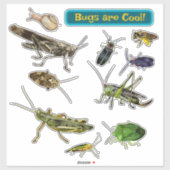 Sticker Les insectes sont cool ! Insectes (Feuille)