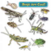 Sticker Les insectes sont cool ! Insectes (Devant)