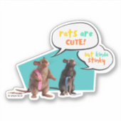 Sticker Les Rats Sont Mignons Mais Plutôt Stinky (Devant)