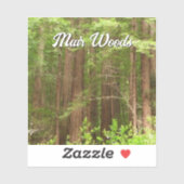 Sticker Les séquoias au monument national de Muir Woods (Feuille)