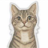 Sticker Les trésors tabby de Dürer 2 (Devant)