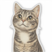 Sticker Les trésors tabby de Dürer 4 (Devant)