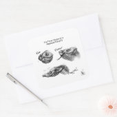 Sticker "Les trois étapes d'un Hognose Hissyfit" (Enveloppe)