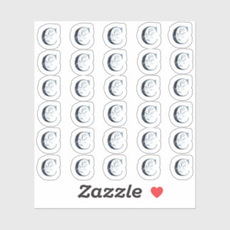 Sticker LETTRE AQUACOLE Bleue DE LA Marine "C" Mini Sticke