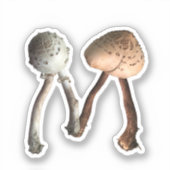 Sticker Lettre M aux champignons | Forêt de champignons de (Recto)
