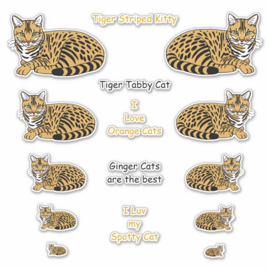 Sticker Lg Tabby Chats Orange (Devant)