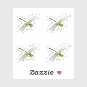 Sticker libellules